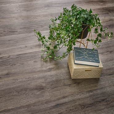 SPC i LVT vinilni podovi SPC i LVT vinilni podovi