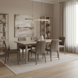 TEPIH ELIF ELI401 160X230 SILVER