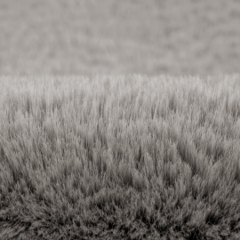 TEPIH HEAVEN HEA800 80X150 SILVER