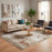 TEPIH RAGOLLE ARGENTUM 160X230 63393-9248
