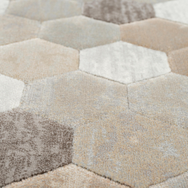 TEPIH RAGOLLE ARGENTUM 160X230 63456-9293