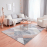 TEPIH RAGOLLE ARGENTUM 133X195 63484-3747