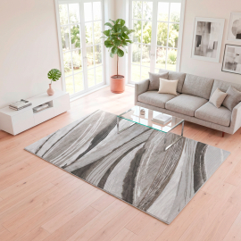 TEPIH RAGOLLE ARGENTUM 160X230 64212-6575