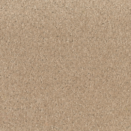 TAPISON FANCY CAPPUCINO 335 4,00