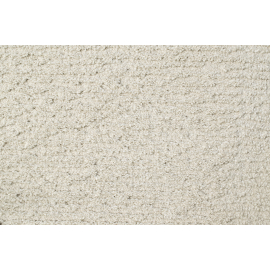 TEPIH RAGOLLE TRENTINO 120X170 41008-6161